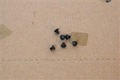 Replacement Handguard Screws for CODA Evolution Handguards