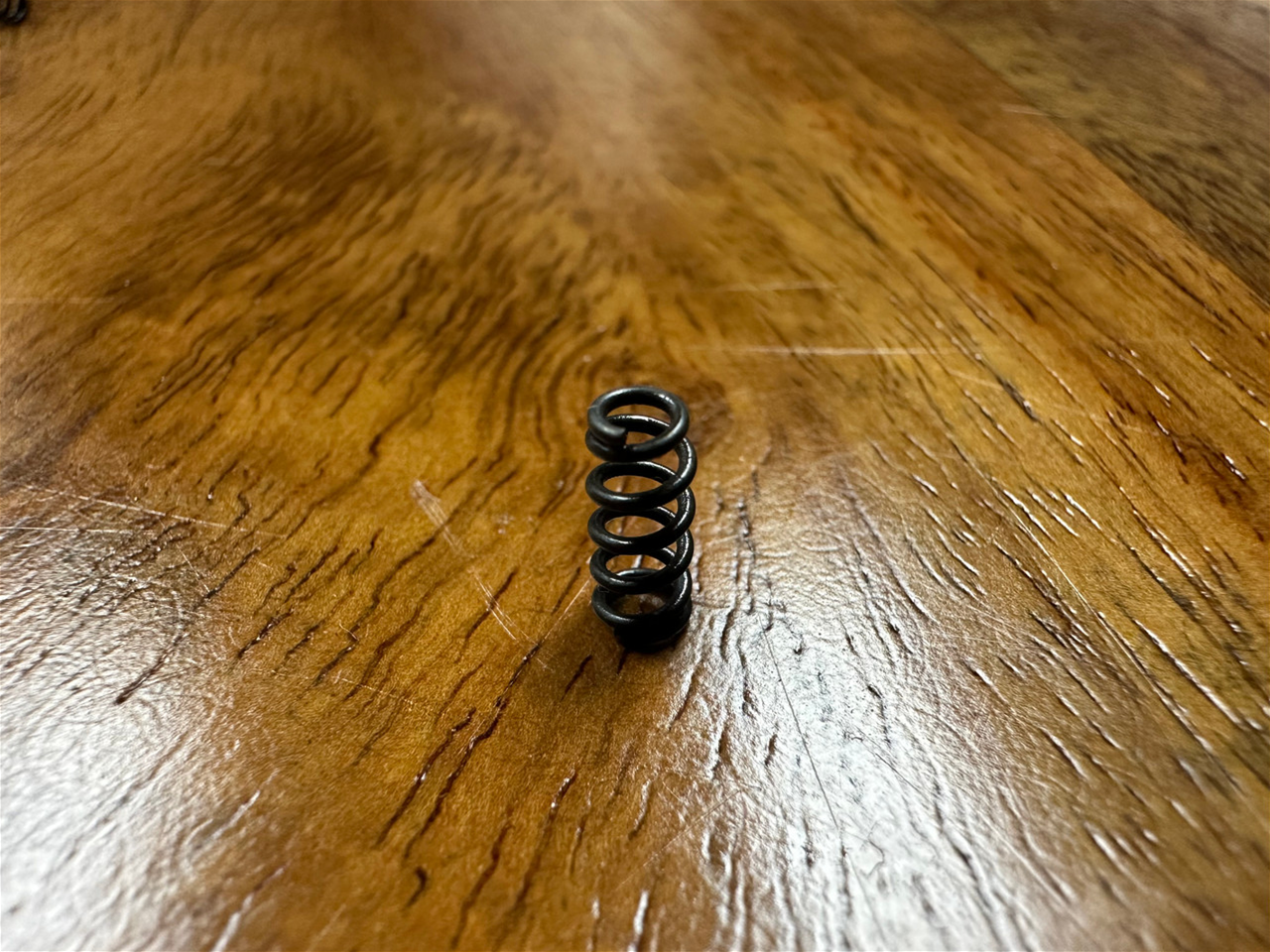 ZRTS Extractor Spring for Walther PDP