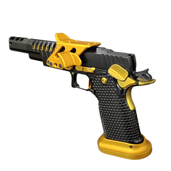 Masterpiece Arms DS9 DL Competition Open Black/Gold Leupold DPP